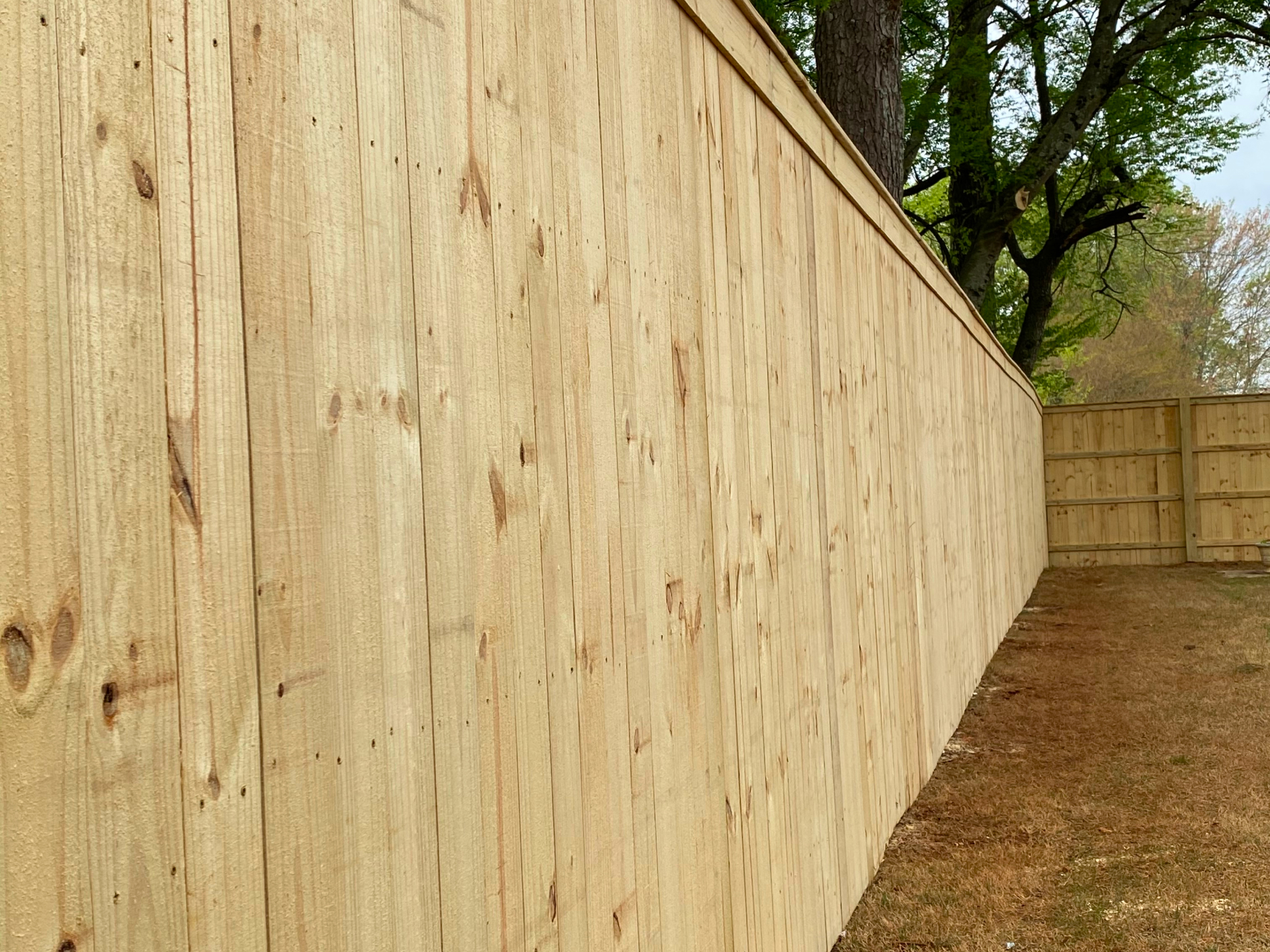 Tips for Maintaining Your Wooden Fence in Alabama